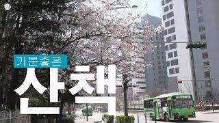 기분좋은 산책(양천중앙도서관편)