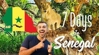 Senegal Travel Vlog With One Week Senegal Travel Itinerary