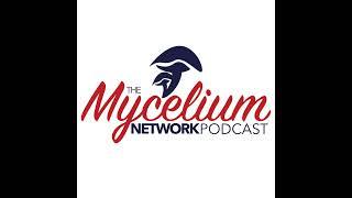 A conversation with Ryan Johnson, backend engineer, Python wizard - The Mycelium Network Podcast ...