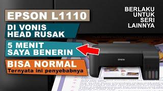 5 Menit Tinta Tidak Keluar Teratasi Di Printer Epson L1110 Normal Kembali