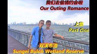 Sungei Buloh Wetland Reserve Trail Explorer Outing Trip 双溪布洛探险探索环境清净幽雅偷情约会地点 Romance Outing pt1 上集