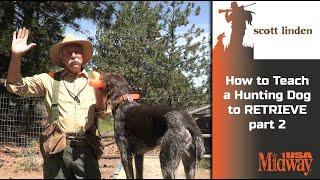 How to Teach a Hunting Dog to Retrieve part 2 | Scott Linden