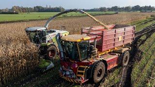 Extreme maize harvest | Vredo to the rescue! | Claas Jaguar 960 Nikkels - Teuge