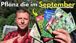 Aussaat im September 10 GEMÜSE, die Du JETZT säen kannst! (für Herbst & Winter)