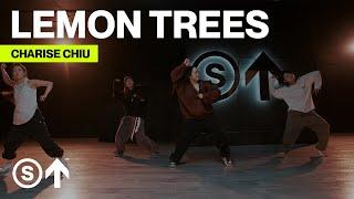 "Lemon Trees" - Dylan Sinclair | Charise Chiu Choreography