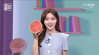 [전북이 참 좋다] 전주MBC 2025년 06월 18일