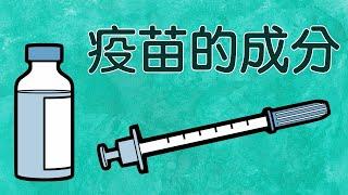 一般疫苗中包含了什麼成分？｜Components of a Vaccine