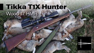 The Tikka T1X Hunter Wood Vs Twelve Rabbits - Comprehensive review