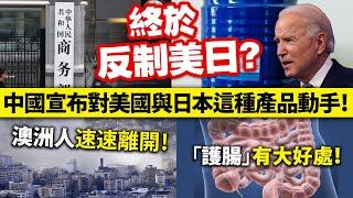 20241017C 終於反制美日？中國宣布對美國與日本這種產品動手！/澳洲人速速離開！/「護腸」有大好處！