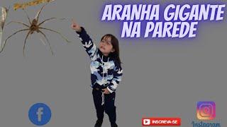 ARANHA GIGANTE NA PAREDE DE CASA. DAILY VLOG INFANTIL PIETRO NATEL OFICIAL