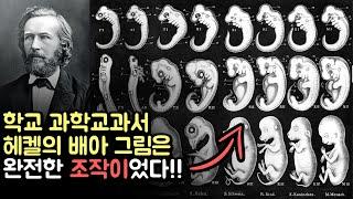 헤켈의 배아 그림은 완전한 사기였다!! (발생반복설)