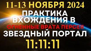 11-13.11.2024 Практика принятия энергий портала Звездных Врат. Квантовый скачок для улучшения жизни