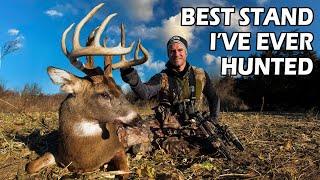 The Best Stand I Ever Hunted | Bowhunting Whitetails w/ Bill Winke