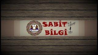 Sabit Bilgi Nedir?