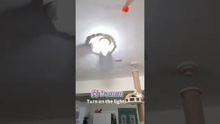 聲控電燈語言設定要選對#搞笑#聲控電燈#聲控#funnyvideos