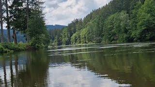 СПЛАВ от плотины на Bleibachersee по реке Schwarzer  Regen до плотины на Höllensteinsee