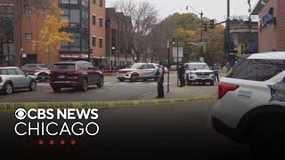 New surveillance video of shooting that wounded retired CPD officer