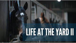 Kim Bailey Racing - Life At The Yard II