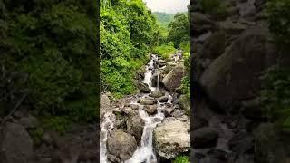 Waterfall | kurseong Road