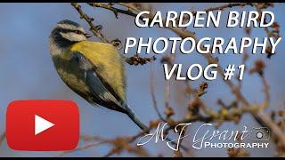 Garden Photography Vlog | Wildlife photography