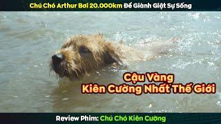 Chú chó tội nghiệp bị đồng loại bỏ rơi cố bám theo đoàn thám hiểm 20.000km và cái kết - review phim