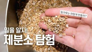 밀가루는 어떻게 만들어질까? 국내 유일 '진짜 맷돌' 제분소 탐험 | 우리밀, 맷돌 제분 | Korean Stone Miller