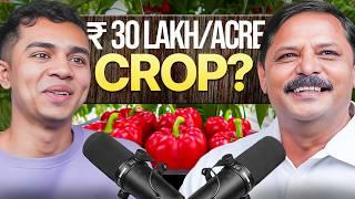 Capsicum Growing Made Easy: Expert Advice for Beginners | Agritalk by Abhinav Roy