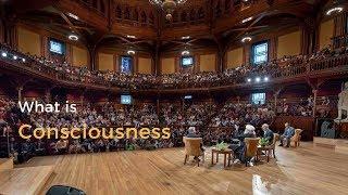 Sadhguru 2018 - What is Consciousness | Amazing Speech at Harvard Medical School (Like TED)