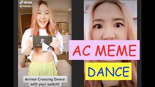 Animal Crossing Fun Dance Meme | HelloMeganLee