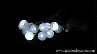 Fairy Berry String Lights, 12 Glowing LED Lights, Battery Op.-Demo