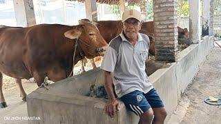 Abah ATIM Spesialis Pemburu Indukan Super Untuk Breeding‼️