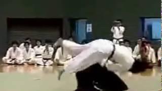 Превосходная демонстрация техник Айкидо Такено Сенсеем (Excellent aikido demo by Takeno Sensey)