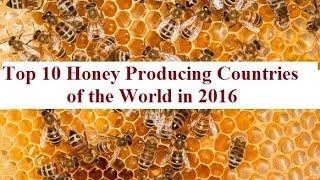 Top 10 Honey Producing Countries 2016