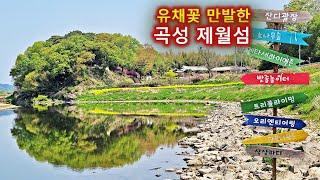 2022년 곡성 제월섬/어린이날 맞아 가족 단위 소풍갈 만한 곳