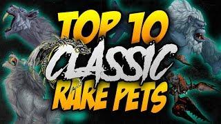 TOP 10 AWESOME RARE PETS IN CLASSIC WOW!