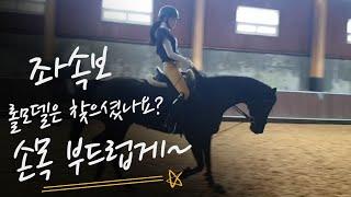 [승마] 손목을 부드럽게 | 좌속보 | DK Horse | 기승일기 | 이강진 코치 | W홀스랜드 | 마장마술 | Horse Riding | Vlog