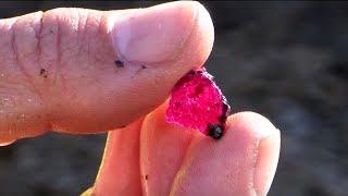 Rubies from Aappaluttoq, Greenland.