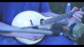 Muleskinner Instruments - #012 Oval hole (yellow birch/adirondack spruce)