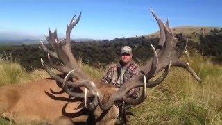 Leithen Valley Trophy Hunts - Promo Video