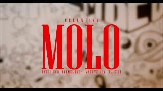 Ceeka RSA - Molo Wav.Files ft. Tyler ICU, Leemckrazy, Matute Boy, DJ Exit