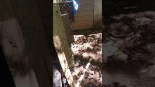 Chicken Coop made from Pallets