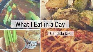 What I Eat in a Day on the Candida Diet