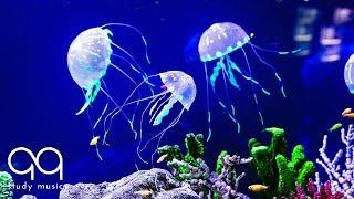 Beautiful Aquarium & Deep Focus Music  Binaural Beats with Underwater Background