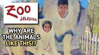 Exploring Salzburg Zoo  | Fun Family Day at Anif's Wildlife Park!