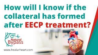 How will i know if the collateral has formed after EECP treatment?