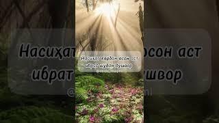 Насиҳат кардан #tajik #love #tajikistan #насихат #таджикистан
