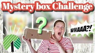 Exciting Mystery Box Challenge || Fun Dollar Tree DIYs