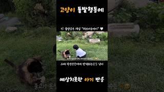 고양이 펀치를 받은 아기 반응 #육아 #예쁜아기 #shorts