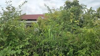 The scary abandoned house in the neighborhood was cleaned up and completely transforme