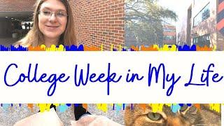 VLOG // Spring Break Prep & Midterm Meltdowns | COLLEGE WEEK IN MY LIFE | UNIVERSITY OF FLORIDA